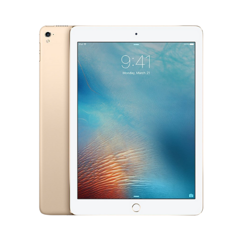 IPAD PRO (9.7inch)